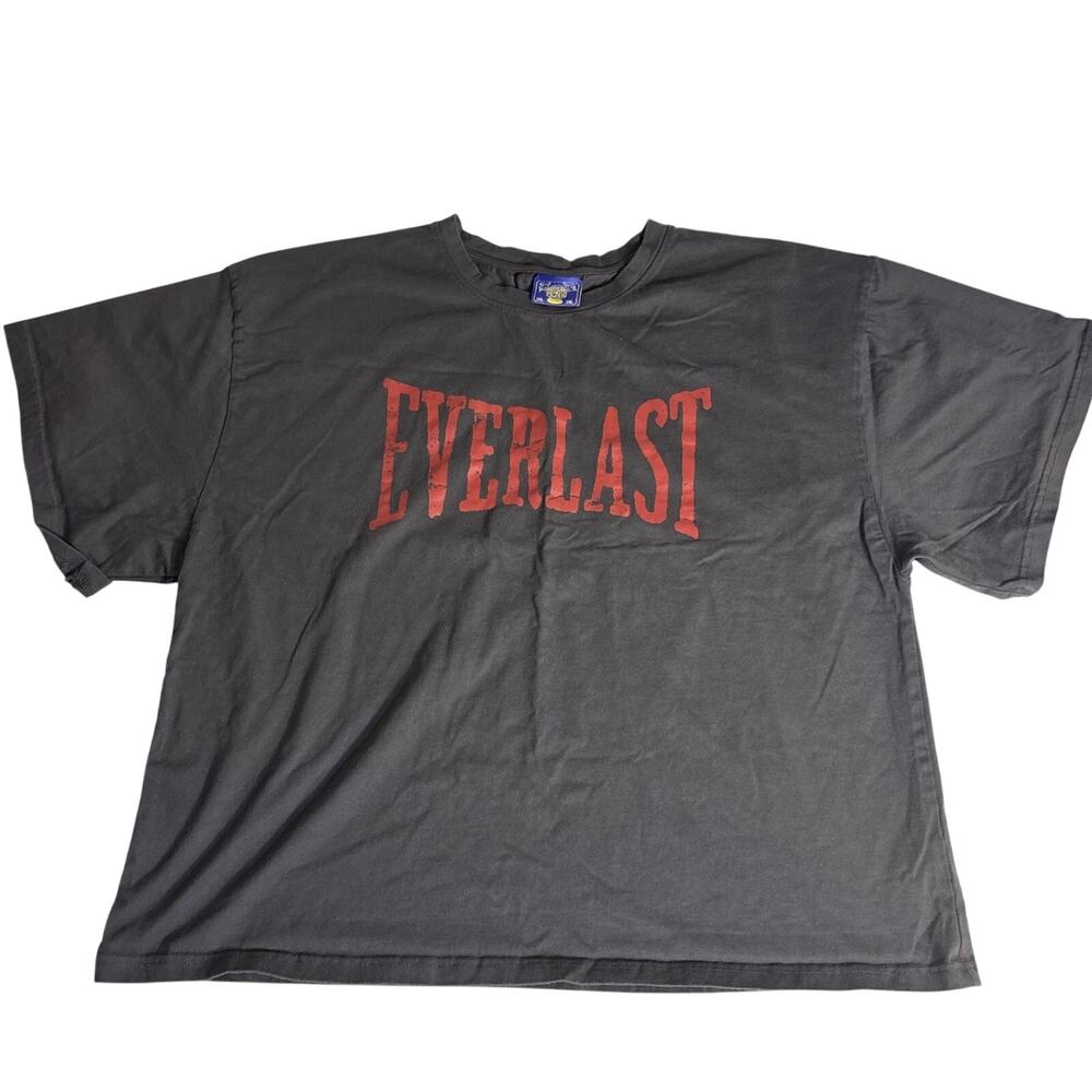 Coney Island Picnic x Everlast Faded Gray Cropped Boxy Graphic T-Shirt Mens 2XL